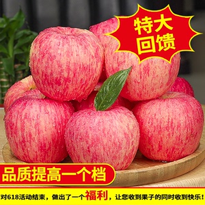 5斤装【正宗烟台红富士】栖霞苹果新鲜脆甜水果包邮5斤装
