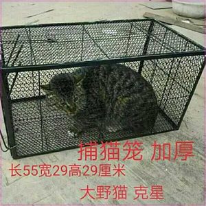 帮助猫咪回家无伤害捕猫笼抓猫神器抓猫器捕笼捕狗笼捕鼠笼大号