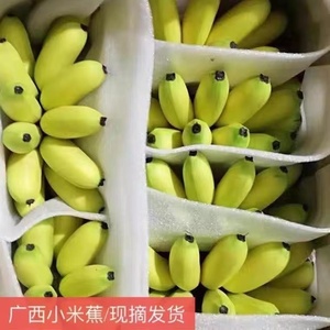 广西正宗小米蕉10斤新鲜香蕉芭蕉水果香焦自然熟整箱苹果蕉粉蕉甜