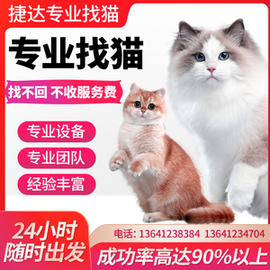 专业找猫团队北京寻宠物丢失宠物侦探猫丢了猫丢了怎么找北京找猫