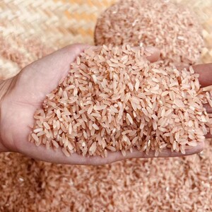 晚稻长芒红大米农家新米梯田胭脂香米无抛光打腊 特价拍5斤送一斤