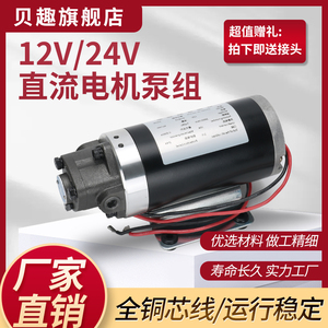 小型直流专用电机油泵DC12V/24V 齿轮油泵电动摆线泵三角机高压机