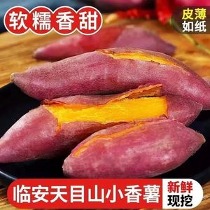 天目山小香薯5斤临安产地直销板栗小红薯新鲜食用地瓜手指番薯甜