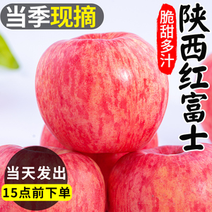 陕西红富士苹果9斤新鲜苹果水果整箱当季脆甜正宗丑苹果大冰糖心
