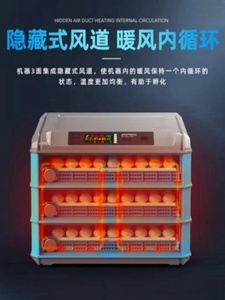 芦丁鸡孵化工具智能保温箱小型孵小鸡机器家用多功能孵蛋器恒温箱