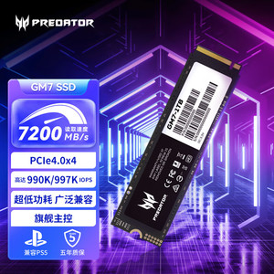 宏碁掠夺者GM7 GM7000 GM3500 SSD固态硬盘 M.2(NVMe) PCIe4.0