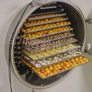 大型冻干机真空冷冻干燥机设备加工水果蔬菜肉类茶叶燕窝冻干机