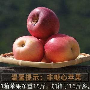 红将军红苹果四川省甘孜州泸定康定高山时令新鲜水果非青苹果