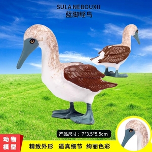 实心仿真野生动物世界鸟类模型 蓝脚鲣鸟 静态手办儿童玩具摆件