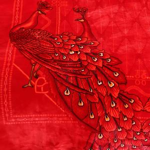 恒源祥拉舍尔毛毯双层加厚冬季结婚庆大红珊瑚绒双面绒高端盖毯子