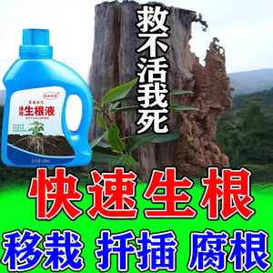 快速生根液植物通用扦插树木移栽营养液水溶性强力生根壮苗活力素