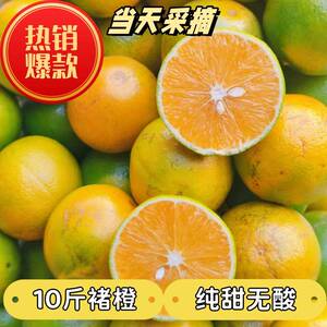 正宗云南褚橙花斑果新鲜橙子手剥甜橙花皮橙高原甜橙冰糖橙10斤