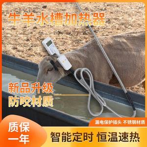 牛羊养殖场水槽电加热管热得快猪马驴饮水箱池加热棒器全自动恒温