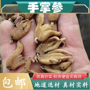 手掌参 中药材新款西藏正宗手参 掌参 佛手参 手儿生参100克包邮
