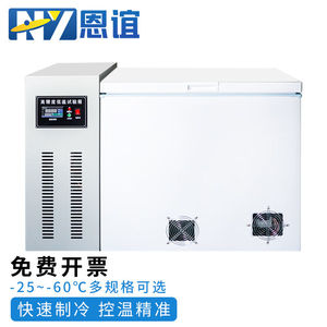 恩谊低温试验箱环境老化测试箱实验室小型工业高低温箱冷冻柜-60