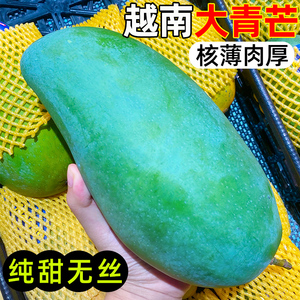 越南大青芒新鲜水果10斤应季孕妇即食热带进口青皮金煌甜心芒果