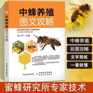中蜂养殖图文攻略 养蜂技术书蜜蜂养殖技术中蜂胡蜂养殖技术养蜜蜂书中华蜜蜂活体蜂群蜂王高效实用科学饲养病害防治指导书籍