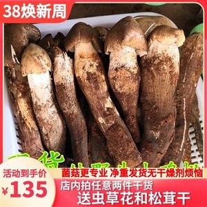 新鲜野生鸡枞菌 云南特产山珍美味荔枝菌油鸡纵棕香菇食用农产品