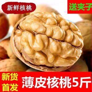 核桃薄皮2023新货原味新疆薄皮散装纸皮生大核桃孕妇坚果干果