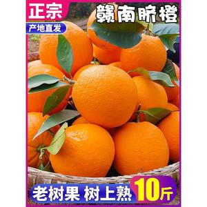 正宗江西赣南脐橙新鲜橙子10斤当季水果手剥赣州纽荷尔包邮