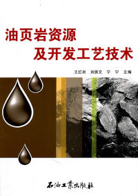 油页岩资源及开发工艺技术 王红岩 石油工业出版社