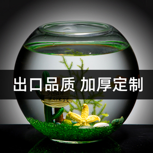 出口德国加厚玻璃透明鱼缸桌面生态养中小金鱼缸特大号50cm圆球型