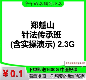 郑魁山针法传承班 (含实操演示) 2.3G中医课程视频网盘发货