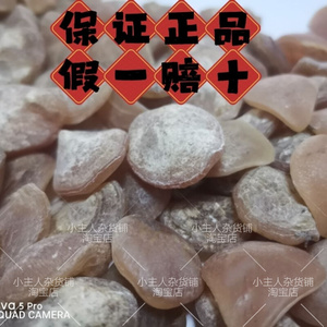 鱼惊石大青鱼石原石乌青鱼喉骨手串吊坠挂饰制作特大骨料把件原料