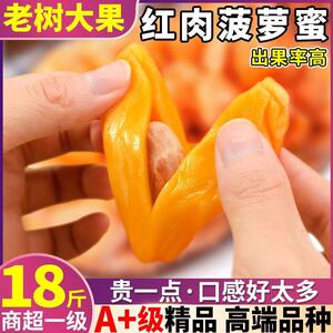 树上熟18斤越南红肉菠萝蜜一整个新鲜水果包邮当季红心波罗蜜干苞