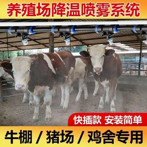 养殖场定时喷雾系统猪场鸡舍养牛降温设备雾化微喷淋消毒加湿喷头