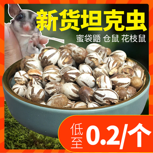 坦克虫仓鼠粮食活虫蜜袋鼯杨拉罐钓鱼鱼饵洋辣子罐东北食物零食