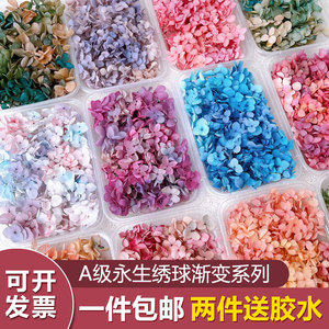 手工DIY 干花瓣永生花绣球材料包团扇相框浮游瓶团建沙龙贴脸婚鞋