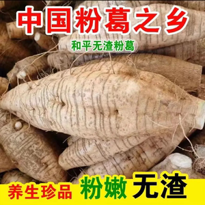 葛根新鲜广西和平粉葛无渣现挖大山野葛薯广东煲汤解酒生5斤包邮