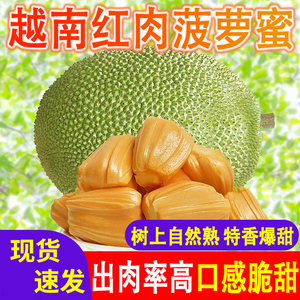 越南红肉菠萝蜜进口红心菠萝蜜一整个大果新鲜正宗热带生鲜水果