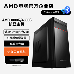 AMD锐龙R5 4600G 3000G核显主机6核办公游戏台式diy主机电脑套件