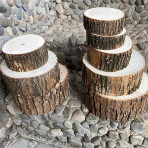 香樟树樟树墩子木桩木柱梅花桩展示陈列拍照道具diy木头树桩带皮