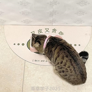 文字垫子通用狗食盆猫垫子猫咪餐垫止滑餐具创意碗垫宠物食物吸水