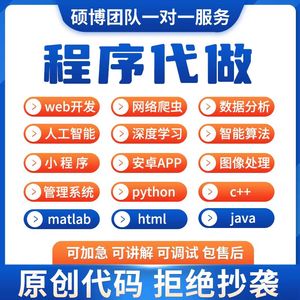 java代码编写python代编程matlab程序代编代码定制web网页设计