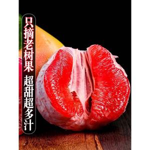 福建红心柚子10斤新鲜水果当季整箱超甜琯溪红肉柚子三红蜜柚礼盒