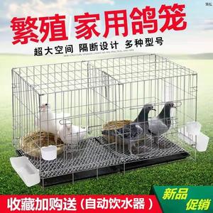 家养鸽子笼专业带食槽养鸽笼子专用鹧鸪斑鸠养殖笼白鸽配对特大号
