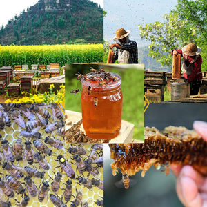 农家深山自产土蜂蜜500g瓶装原蜜密野生纯天然百花蜜正宗蜂蜜