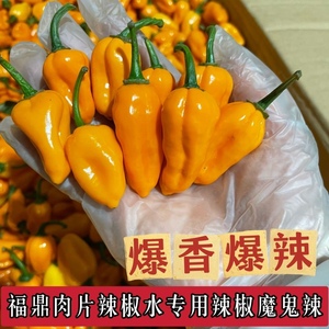 魔鬼辣椒超辣正宗福建永安黄椒灯笼小米泡椒朝天椒变态特辣新鲜