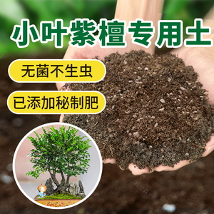 小叶紫檀专用土小叶紫檀土家用盆景营养土酸性有机土壤种植土肥料