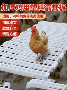 鸡用漏粪板鸡鸭鹅鸽子家禽加厚塑料漏屎板鸡舍鸡笼隔粪板网格地板