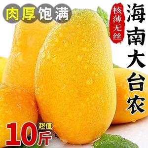 海南大台农芒果10斤新鲜小台芒现摘应当季水果热带芒果整箱5
