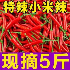 农家现摘新鲜5斤小米椒特辣红色辣椒朝天椒指天椒剁椒蔬菜椒泡椒