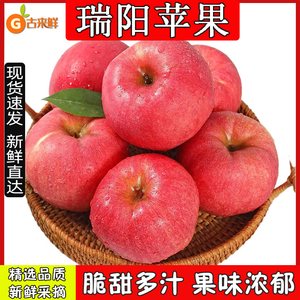 陕西瑞阳苹果应当季新品种新鲜水果香甜多汁富士白水现货整箱包邮