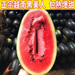越南冰糖黑美人西瓜10斤水果新鲜手掰冰淇淋麒麟瓜黑皮大西瓜整箱