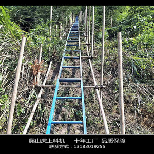 斗式提升机 建筑工地爬山虎上料提升机 高速公路斜护坡运料机