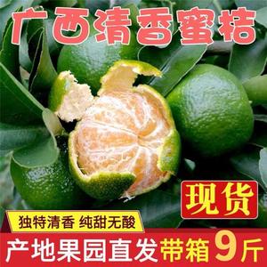 清香蜜橘广西清香蜜桔清香茶橘大果新鲜现摘纯甜无酸多汁整箱